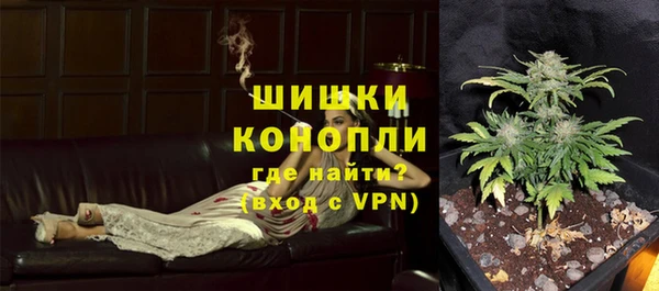 индика Остров